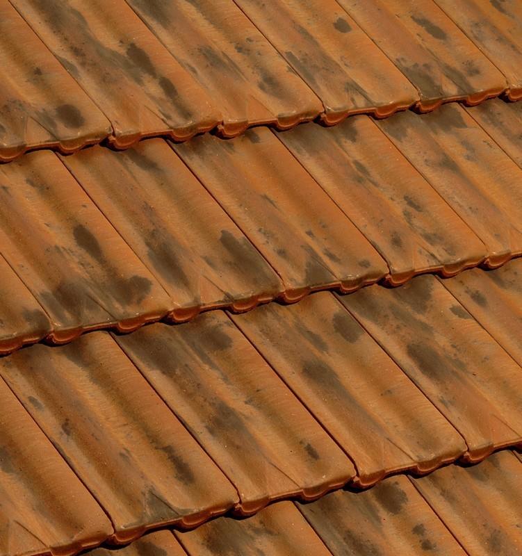 TUILE DELTA 10 VIEILLI NUANCE SUR FOND ROUGE