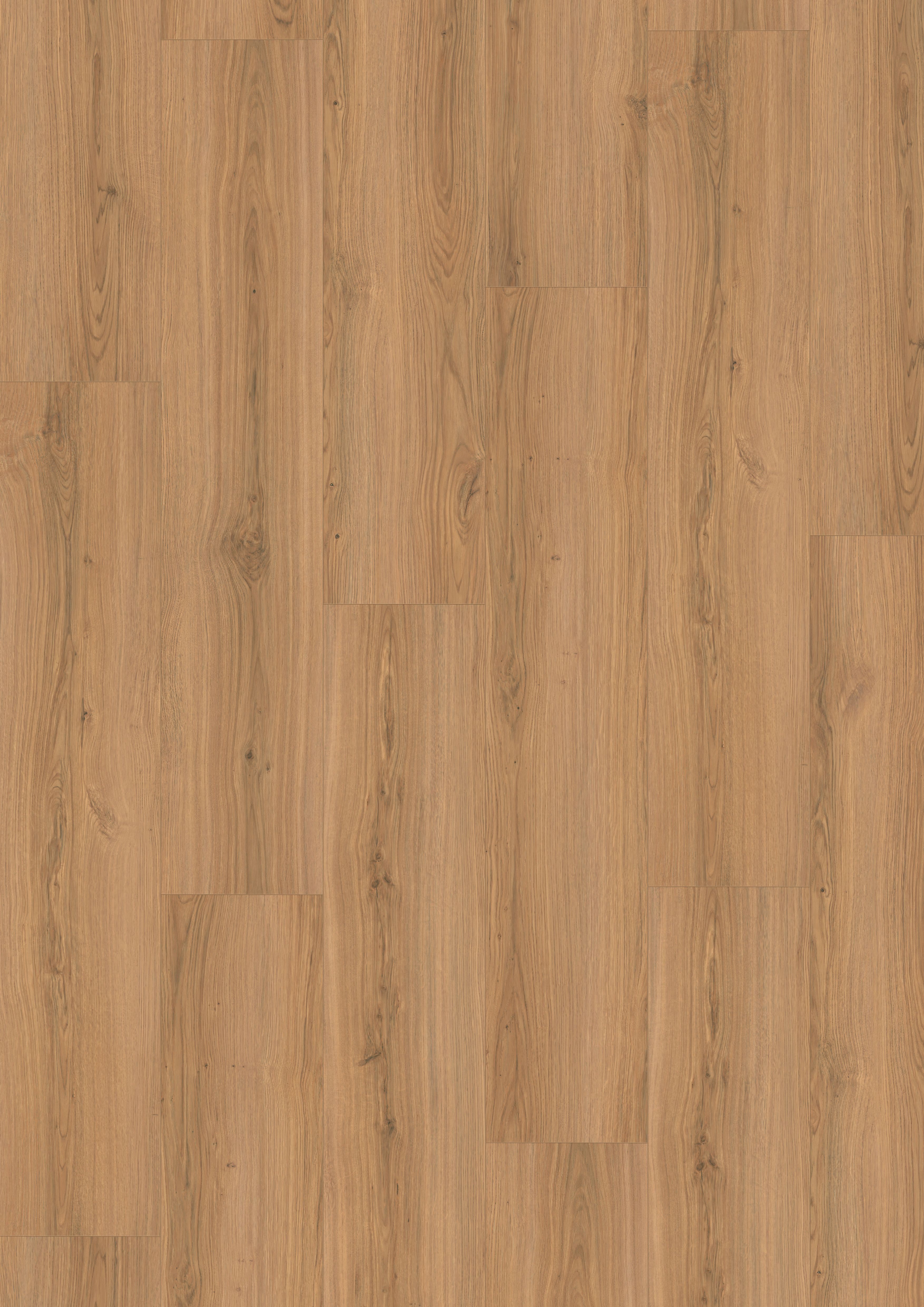 Stratifié NATURE SENS Aqua 24h - 246x1292mm ép.8mm - EL2172 Chêne Padua miel