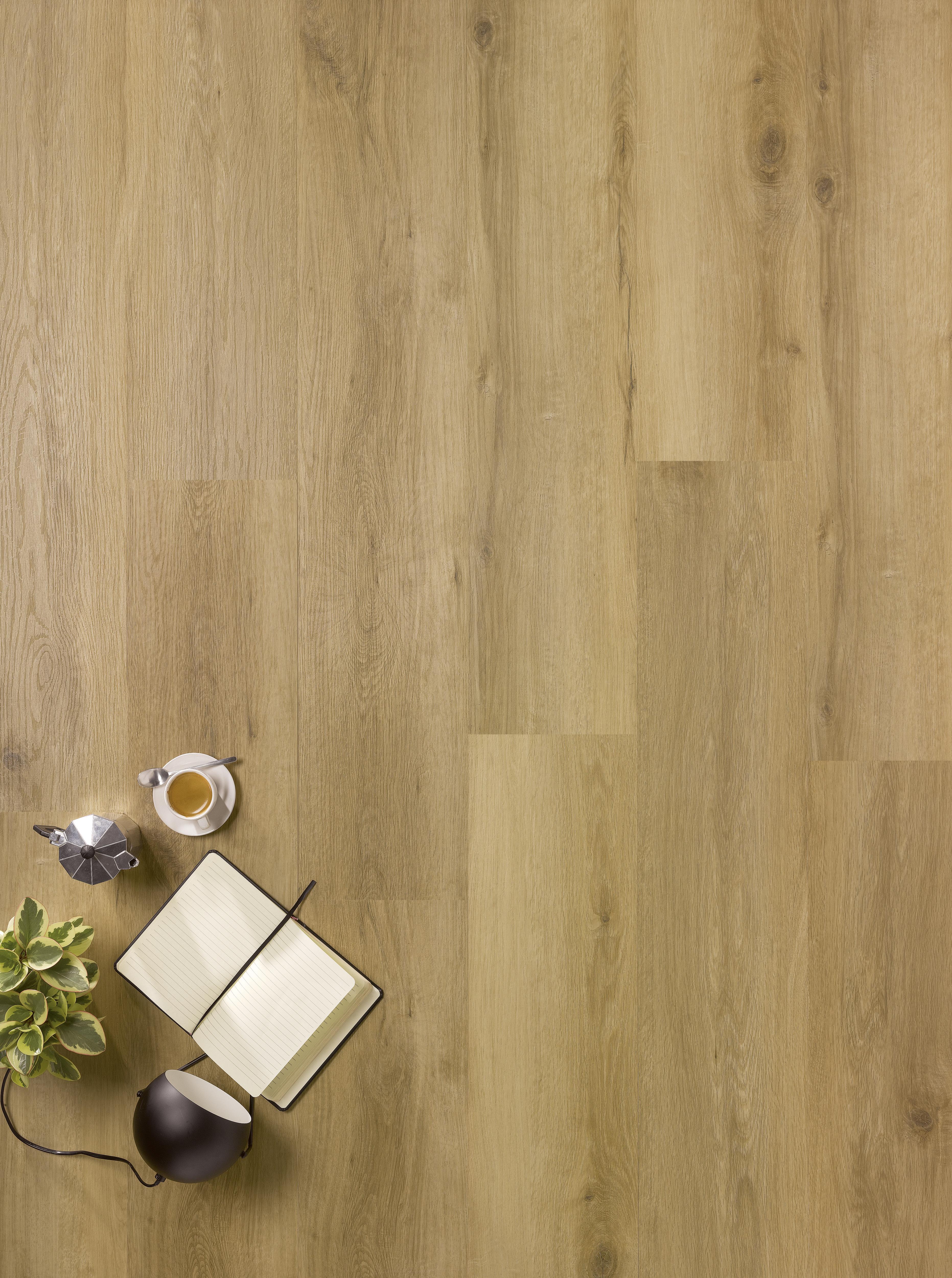 Vinyle rigide EVASION - 1000 Guadeloupe - Ep 5,3mm 1222x229, Water resist 100h CLIP 5G 4V