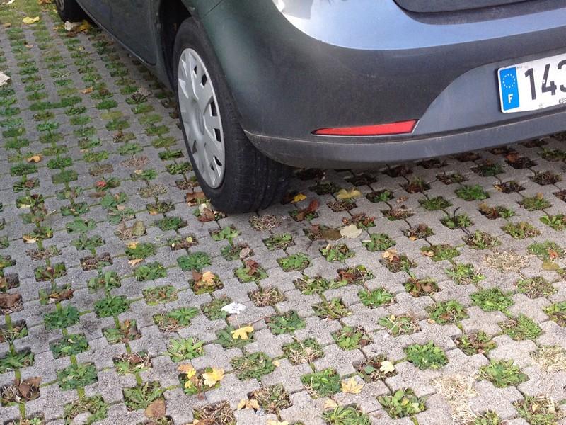 DALLE GAZON 50X50X10 CM GRISE