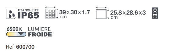 Projecteur solaire avec télécommande - 2000 LM - IP65