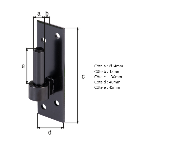 GOND SUR PLATINE D.14 - 130 X 40