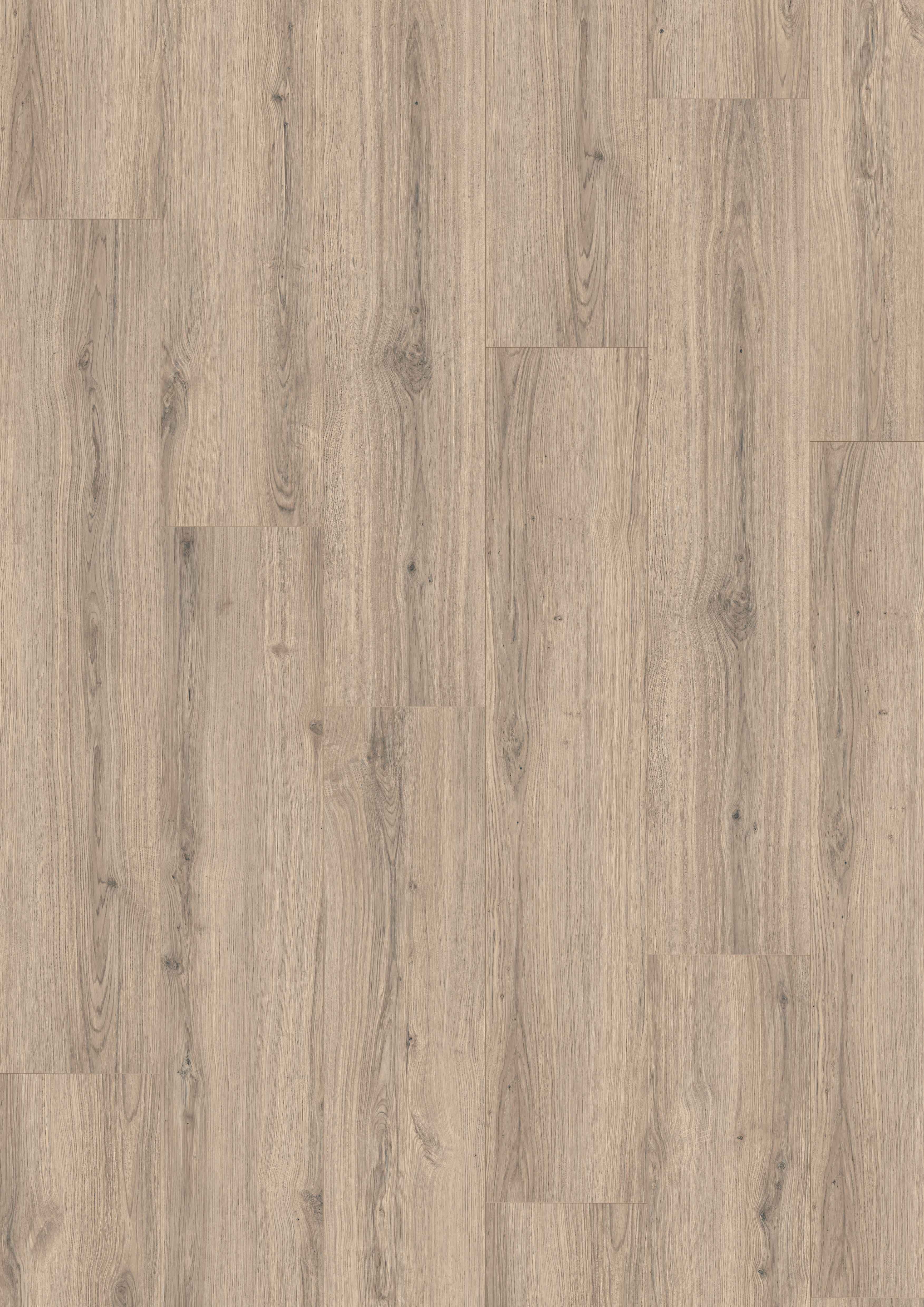 Stratifié NATURE SENS Aqua 24h - 246x1292mm ép.8mm - EL2173 Chêne Padua gris