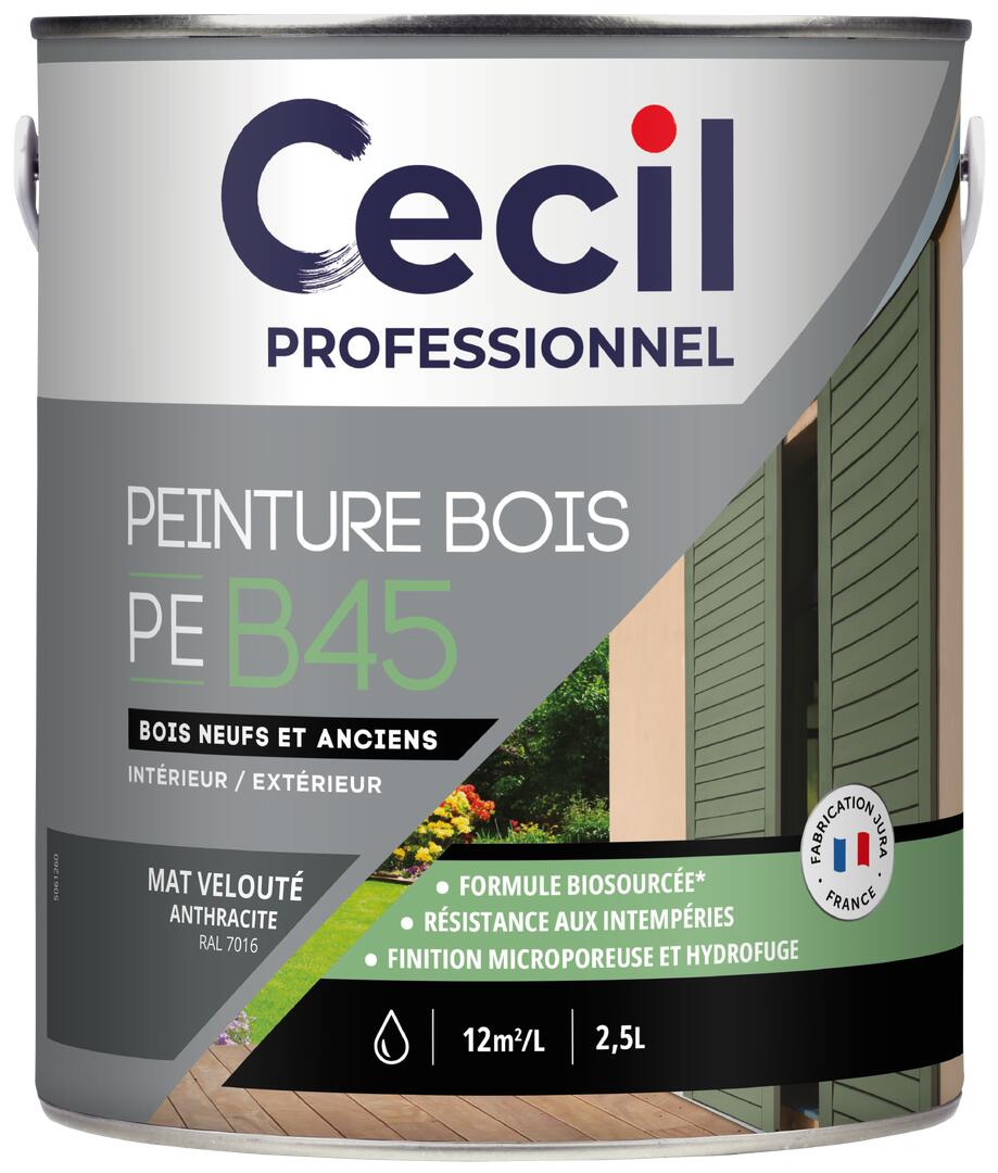 Peinture extérieure bois haute performance PEB45PEINTURE - Anthracite M Mat - 2,5L