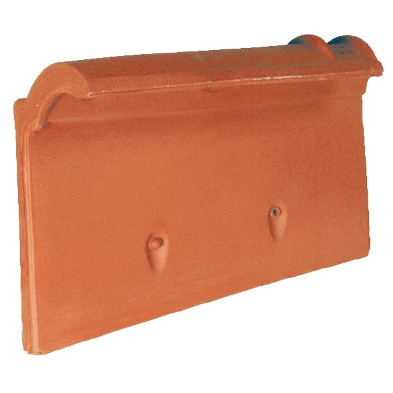 RIVE INDIVIDUELLE GAUCHE A RECOUVREMENT MONOPOLE N3 - VIEILLI