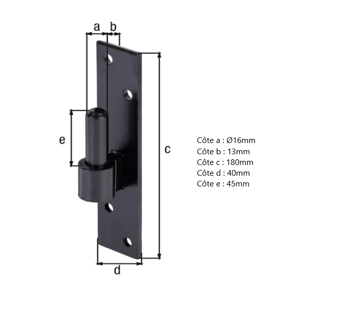 GOND SUR PLATINE D.16 - 180 X 40