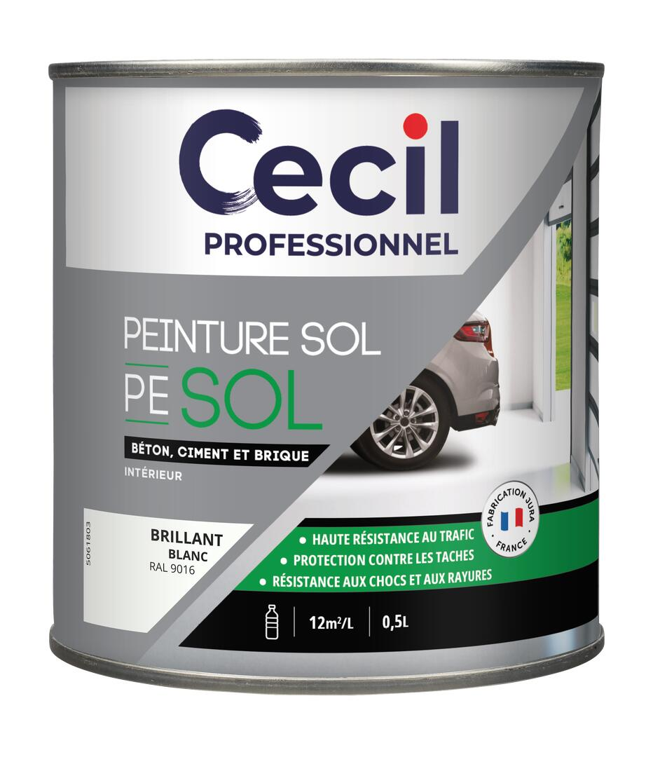 Peinture extérieure SOLPEINTURE - Blanc Satin - 0,5L