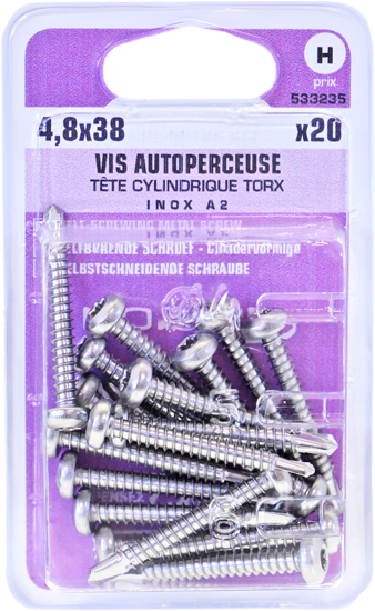 Vis autoperceuse TX Tête cylindrique Inox A2 4,8x38 Blister de 20