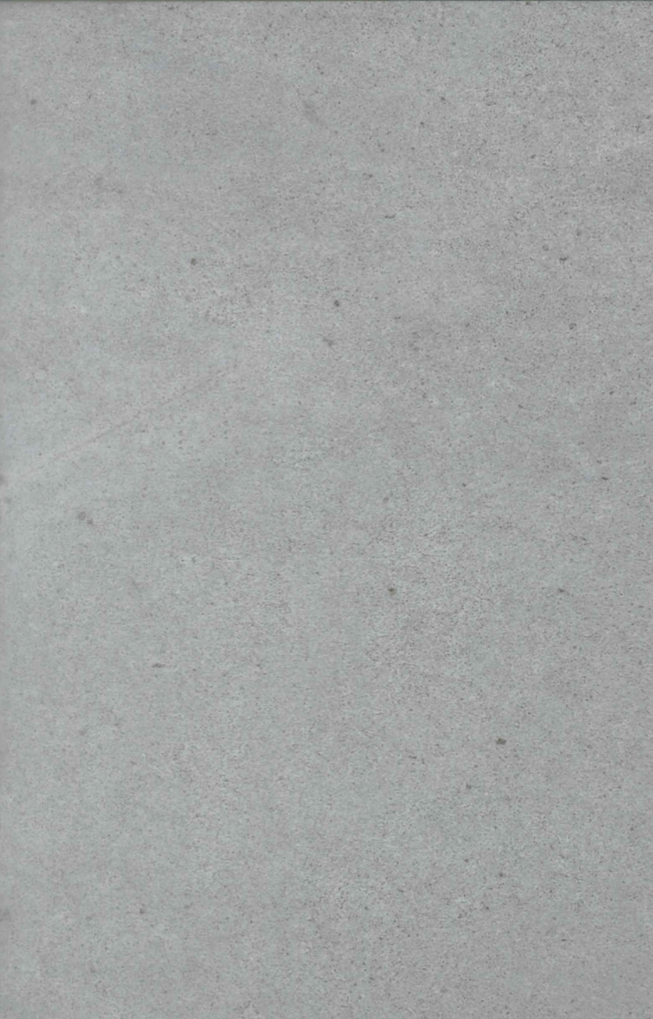 Vinyle Rigide NEOCLICK 30 - 310x600mm ép.4,3mm - 24 Cold Concrete