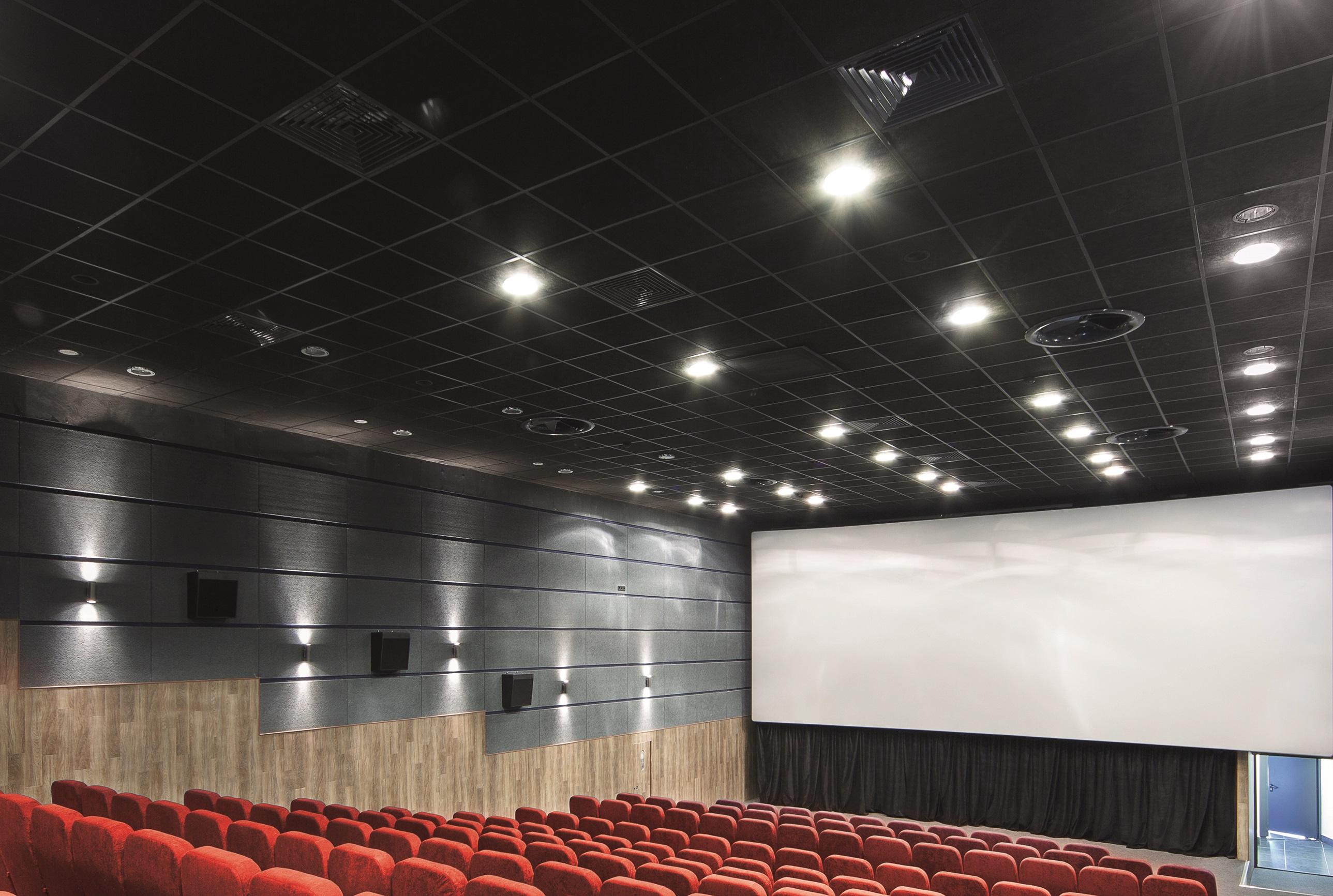 DALLE PLAFOND TONGA NOIR-1200X600 22MM