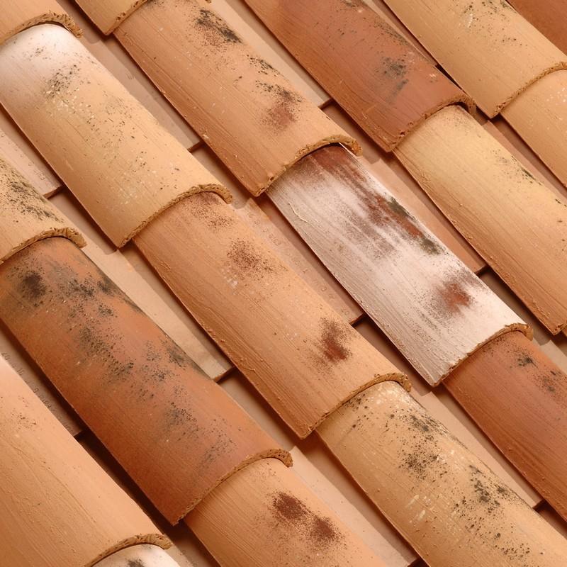 TUILE CANAL 50 TERROIR