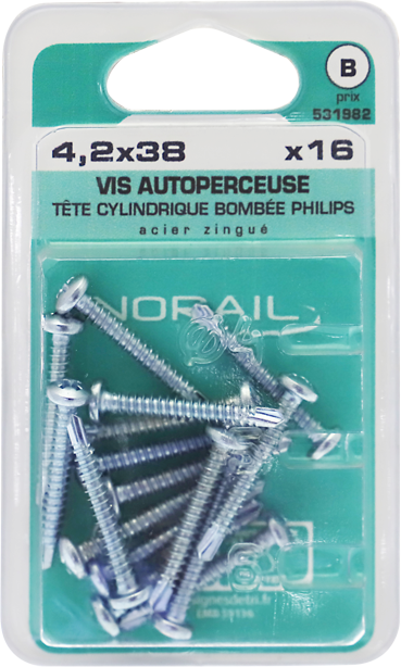 Vis autoperceuse PHILLIPS N°2 Tête cylindrique bombée Acier zingué 4,2x38 Blister de 16