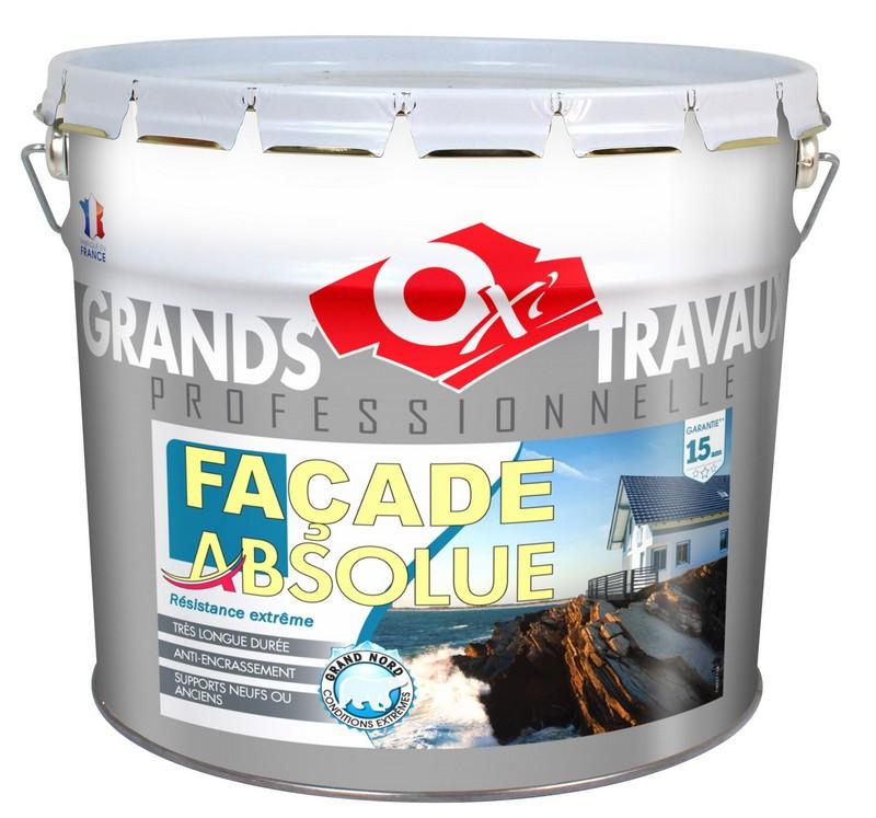 Peinture siloxane façade mat gris basalte 10 L