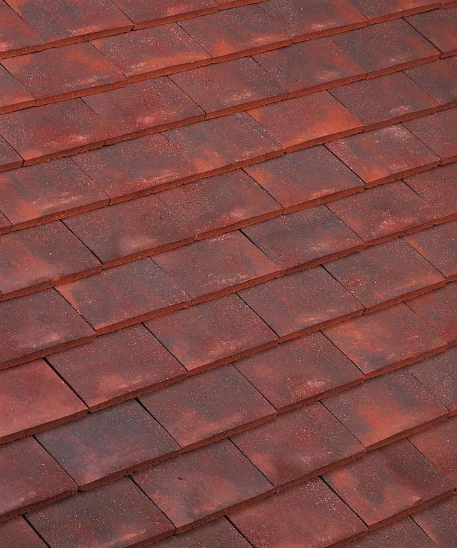 TUILE PLATE PRESSÉE 17 X 27 VIGNOBLE