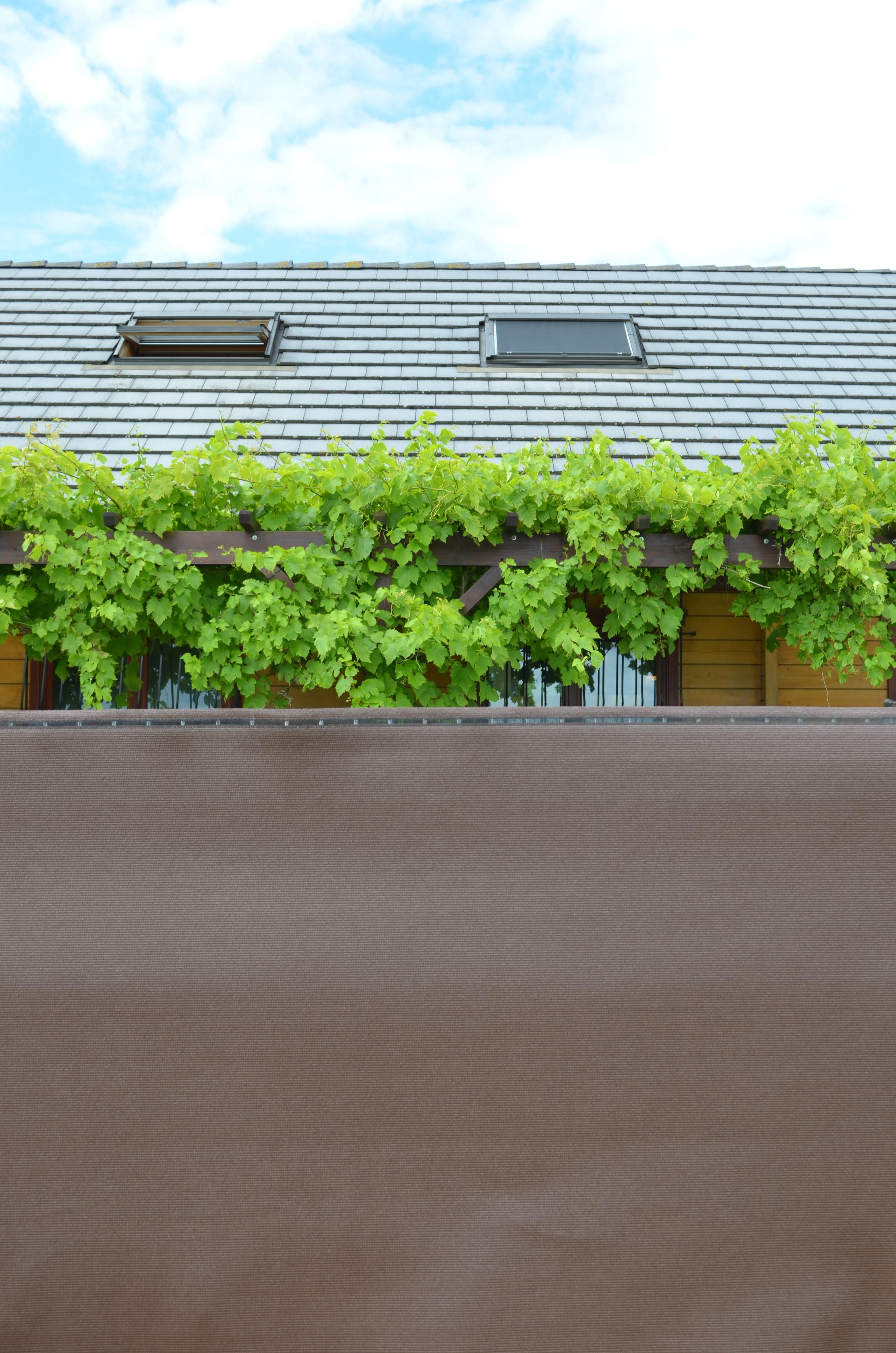 Brise-vue - HDPE, anti-UV, vert, 200 g/m² - occultant 4/5 - 1 x 25 m