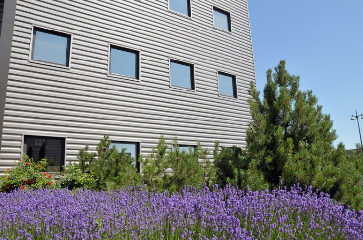 Tôle de Bardage polycarbonate FACADEO 6.25 (10/10) longueur 3000 mm
