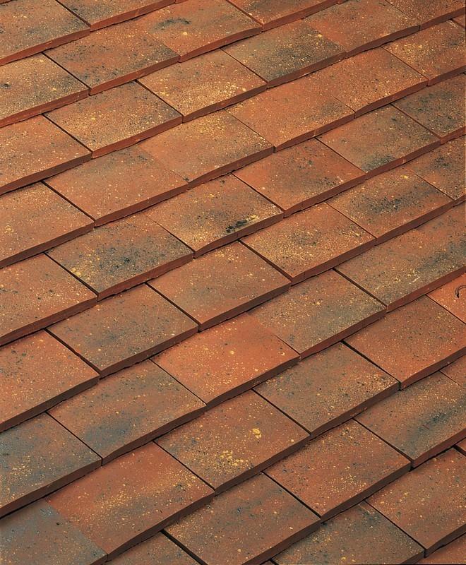 TUILE PLATE 20 X 30 ALEZANE