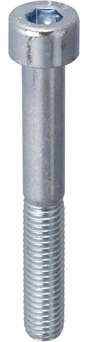 VIS A METAUX 6 PANS CREUX TÊTE CYLINDRIQUE 8X20 ACIER ZINGUÉ BLISTER X4