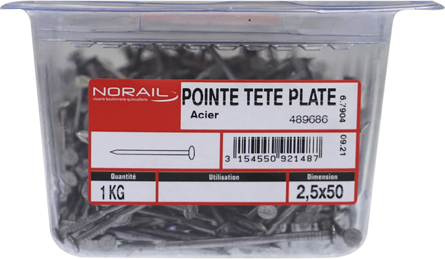 Pointe Tête plate Acier 2,5x50 Barquette de 1kg
