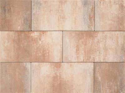 Pavé REALTA Classique 30 x 60 x 6 cm  Forrest