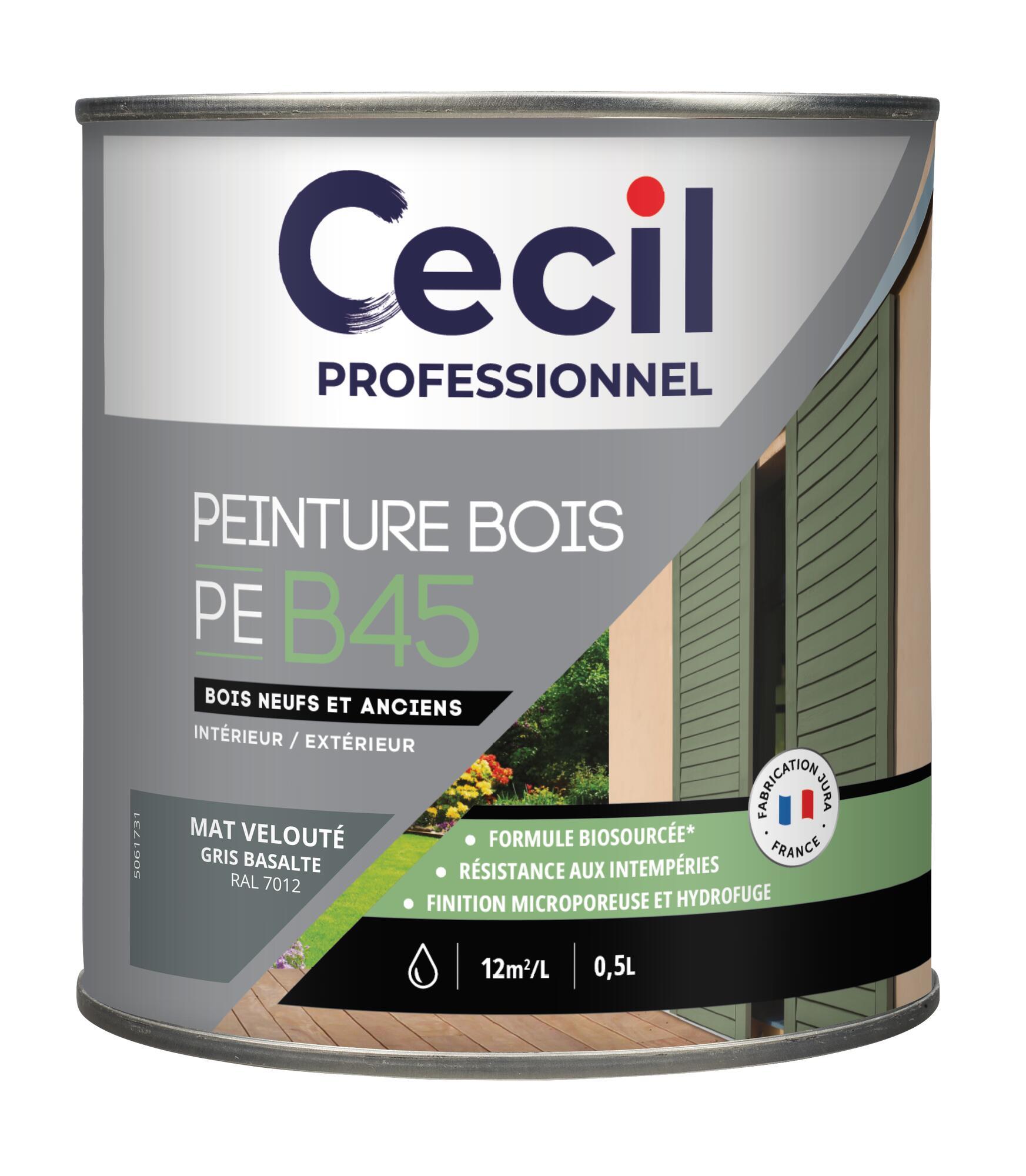 Peinture extérieure bois haute performance PEB45PEINTURE - Gris Basalte Mat - 2,5L