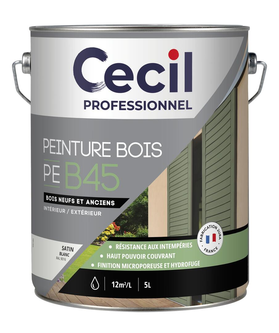 Peinture Bois Haute Performance PE B45 - Blanc Satiné - Pot de 5L