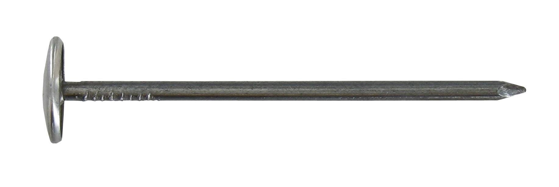 Clou calotin Acier zingué 2,7x50 Vybac de 60