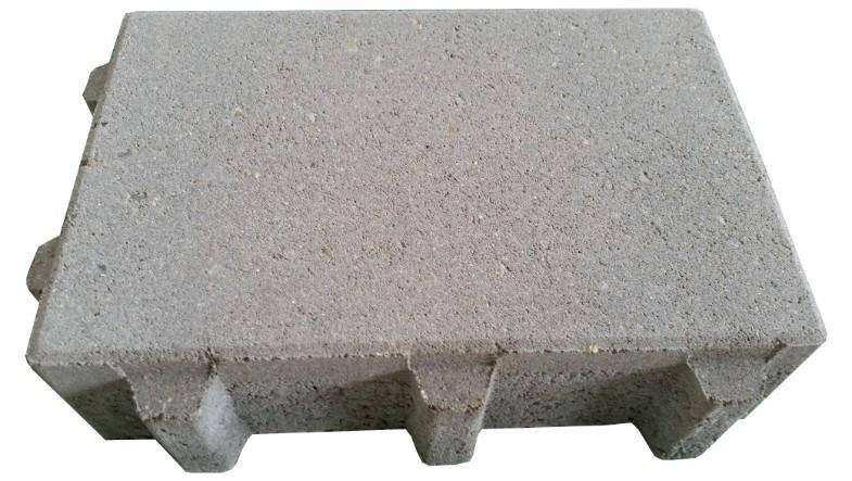 PAVE ECOSFAC GAZON 30 X 20 X 8 CM