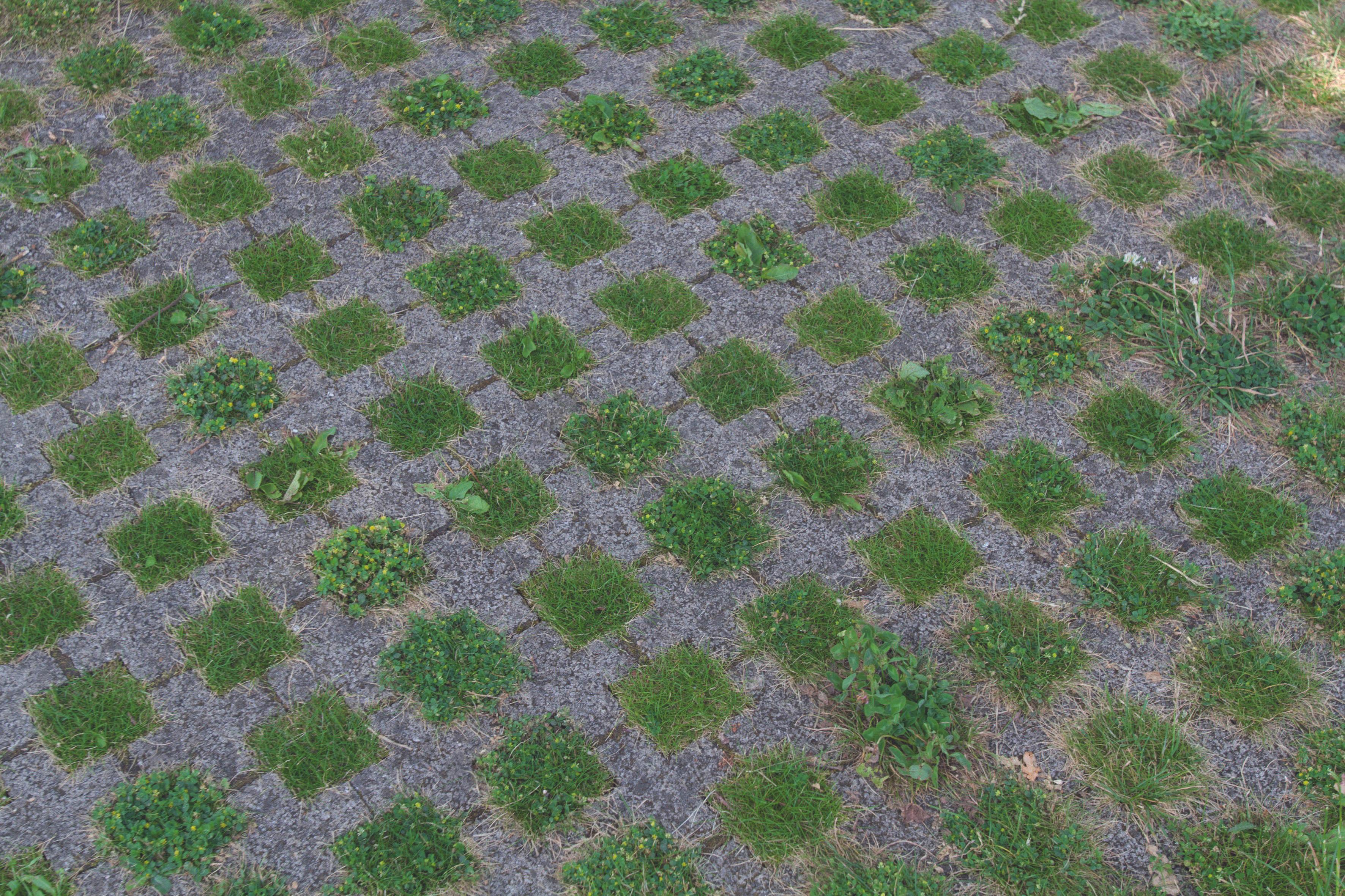 Dalle BETOGREEN C 50 x 50 x 10 cm Gris