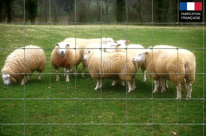 GRILLAGE GALVA MOUTON HT 1.50 L 50 M PATURAGE 9 FILS MAILLE 150 DIA 2.0-2.4 MM