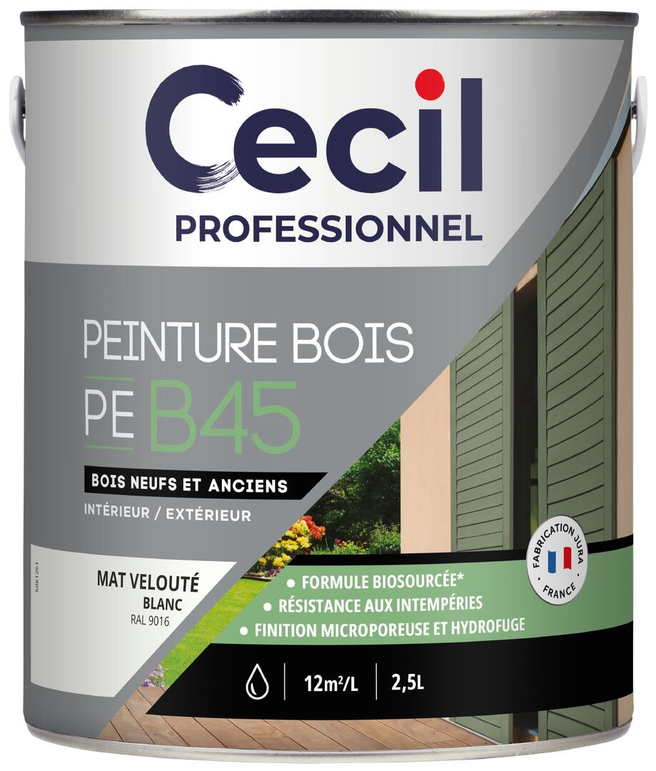 Peinture extérieure bois haute performance PEB45PEINTURE - Blanc M Mat - 2,5L