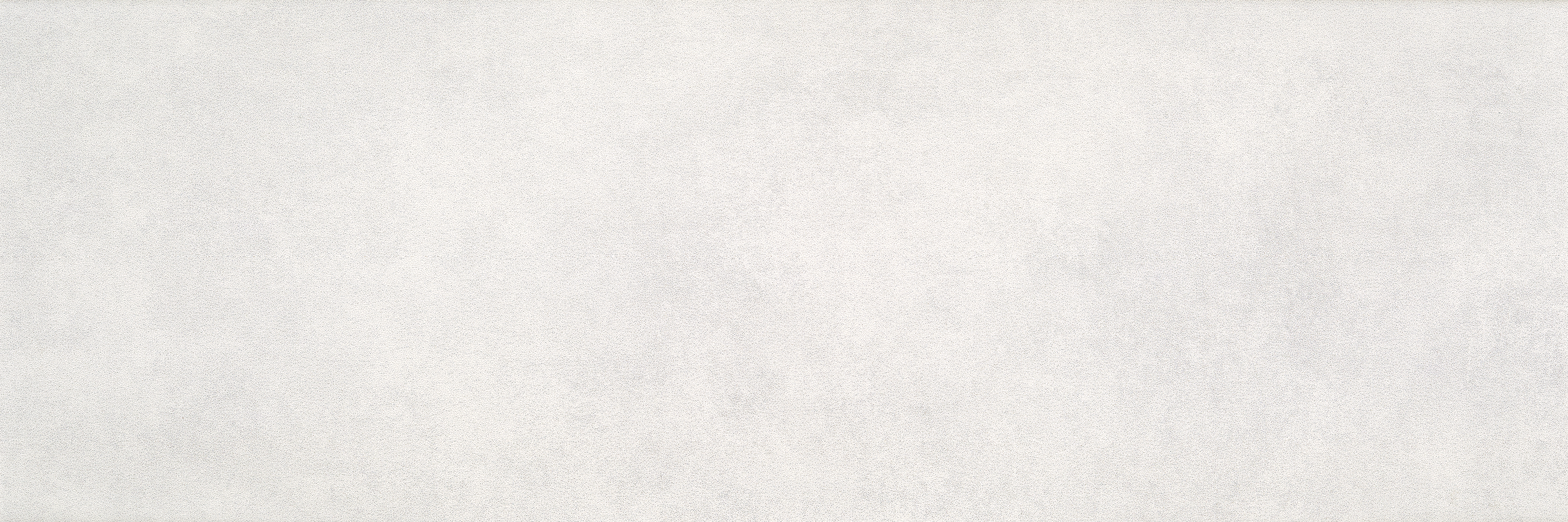 Carrelage mural faïence DARLEN 20 x 60CM ép.9MM White