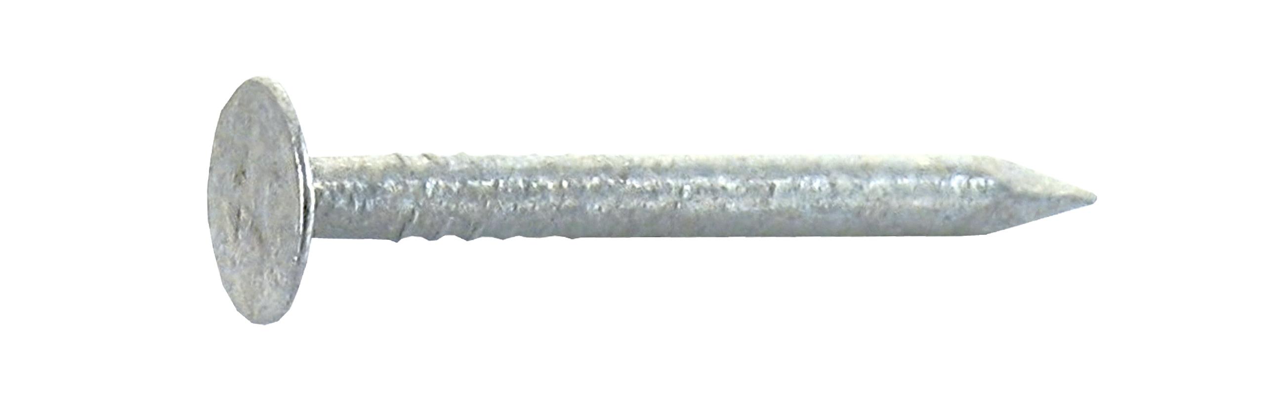 Pointe Tête plate large Acier galvanisé 2,4x27 Vybac de 280g