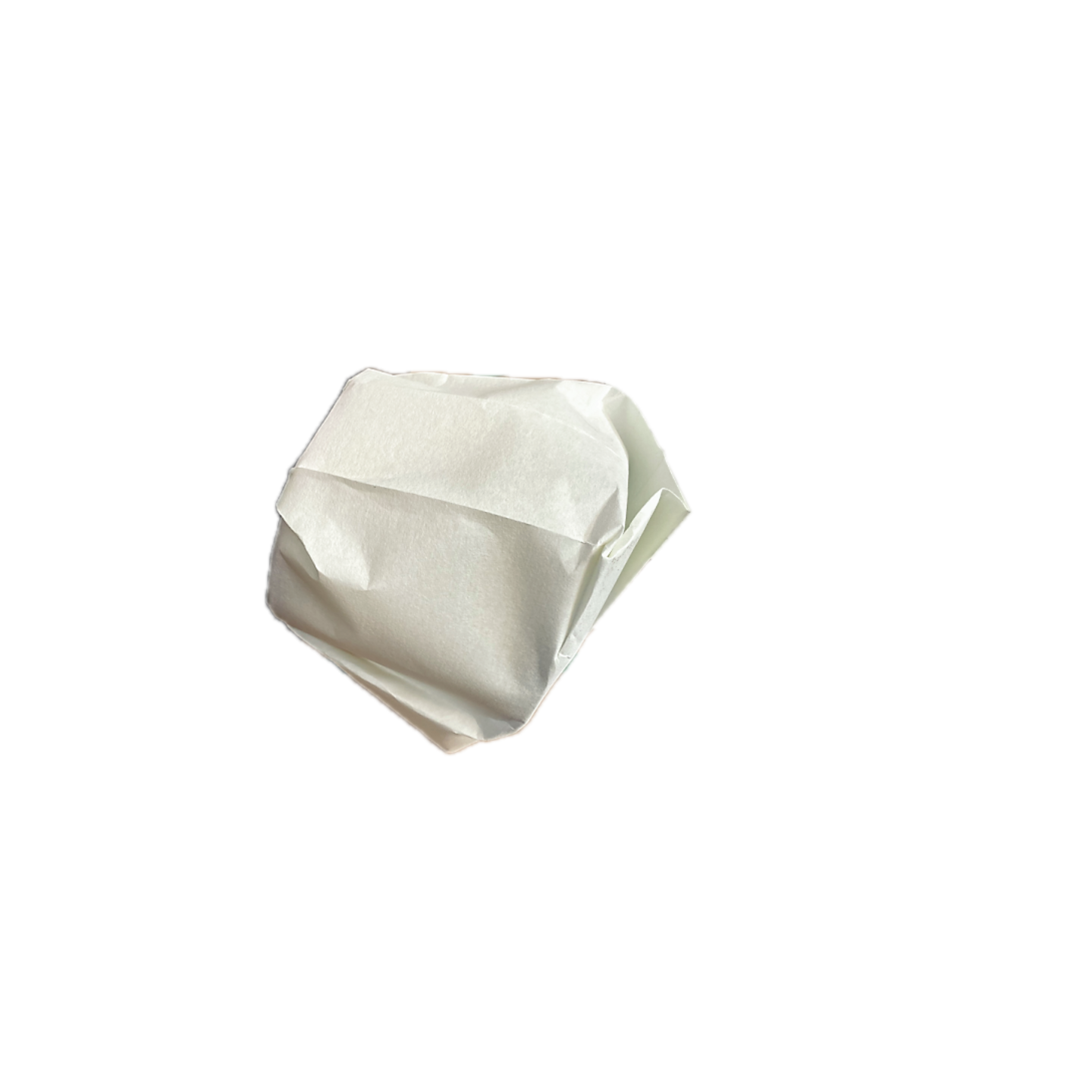 Lot de 5 sacs pour aspi leman loasp303 - Leman
