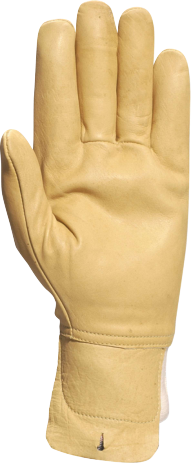 Gants en cuir DPCBHV2 - Cuir hydrofuge - Beige -  T.8
