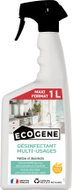  Désinfectant sols et multi-usages concentré à la mangue et pêche - Maxi format Spray de 1L - Ecogene
