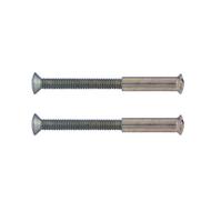 Lot de 2 vis relieuses en acier nickelé