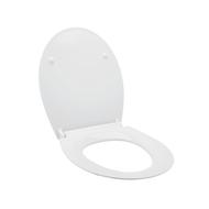 Abattant wc everest thermodur - Wirquin