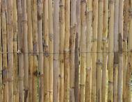 Canisse en tiges de roseaux fendus naturels PREMIUM (origine Espagne) - occultant 3/5 - 1 x 3 m