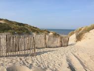Ganivelle haute en milieu boisé Ganivelle haute en milieu boisé