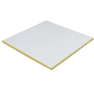 Dalle plafond Tonga® A 22 Blanc - 600 x 1200MM ép.22MM
