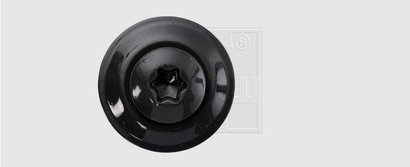 VIS SPENGLER INOX - GRIS ANTHR.  4.5 X 100 mm - DIAM. 15 TX20 - INOX A2 - P/50