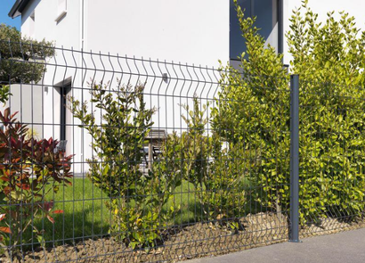 Panneau AXIS M (40200 GD PLI) 2480x1,72-7016
