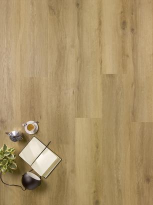 Vinyle rigide EVASION - 1000 Guadeloupe - Ep 5,3mm 1222x229, Water resist 100h CLIP 5G 4V