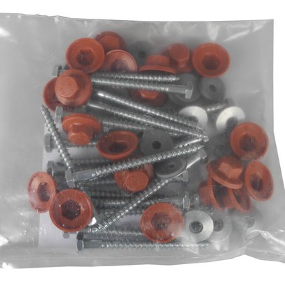 TIREFONDS COMPLETS GALVA -SACHET DE 20 POUR GAMME COVERLIFE