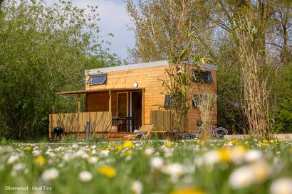 Bardage DOUGLAS Originel - Profil Forez - 21 x 132MM L.4M