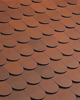 TUILE ALSACE LISSE 16 X 38 VIEILLI MASSE