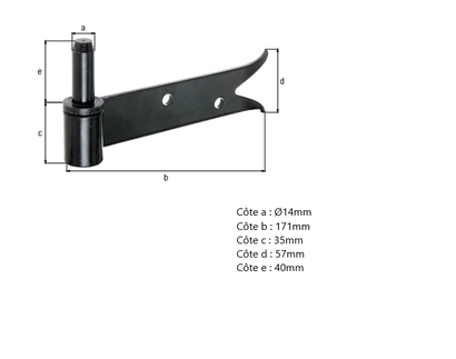 GOND A VISSER QUEUE DE CARPE NOIR D.14 - 171 X 57