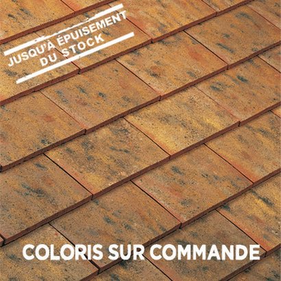 TUILE PLATE PRESSÉE 27 X 41 CHEVREUSE