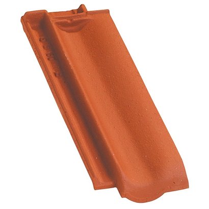 DEMI TUILE PROVINCIALE VIEILLI MASSE